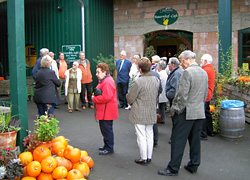 Seniorenkaffee der SPD Neunkirchen-Seelscheid